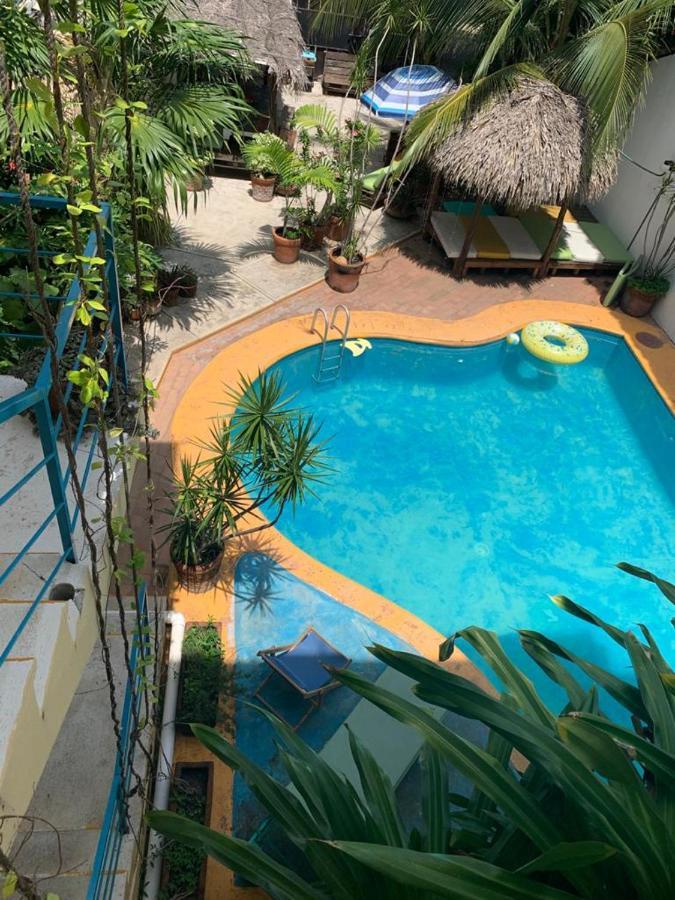 Brisamar Guesthouse بويرتو إسكونديدو المظهر الخارجي الصورة