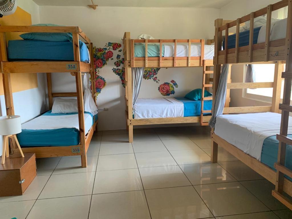 Brisamar Guesthouse بويرتو إسكونديدو المظهر الخارجي الصورة